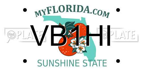 VB1HI Florida License Plate