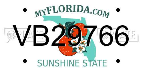 VB29766 Florida License Plate