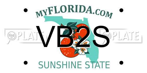 VB2S Florida License Plate
