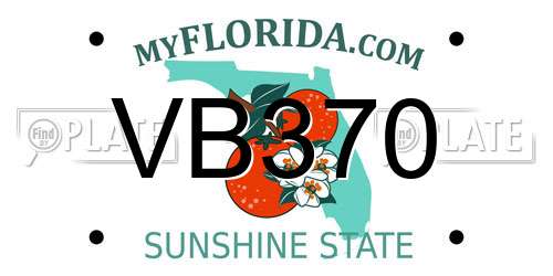 VB370 Florida License Plate