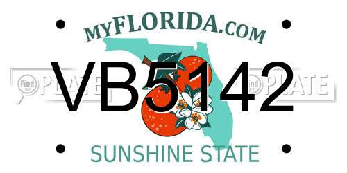 VB5142 Florida License Plate