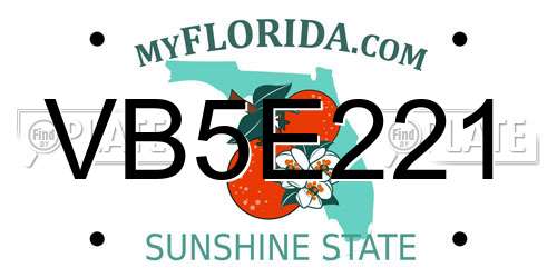 VB5E221 Florida License Plate