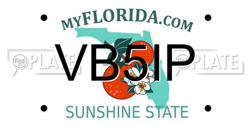VB5IP Florida License Plate