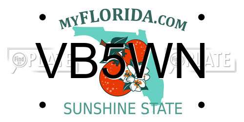 VB5WN Florida License Plate