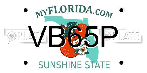 VB65P Florida License Plate