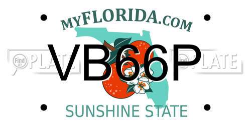 VB66P Florida License Plate