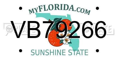 VB79266 Florida License Plate
