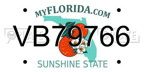 VB79766 Florida License Plate