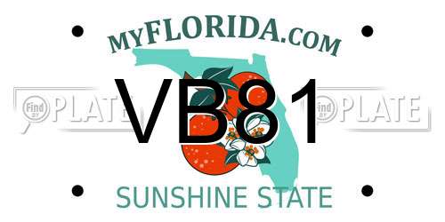 VB81 Florida License Plate
