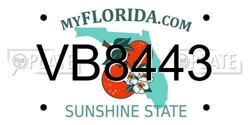 VB8443 Florida License Plate