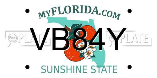 VB84Y Florida License Plate