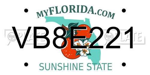 VB8E221 Florida License Plate