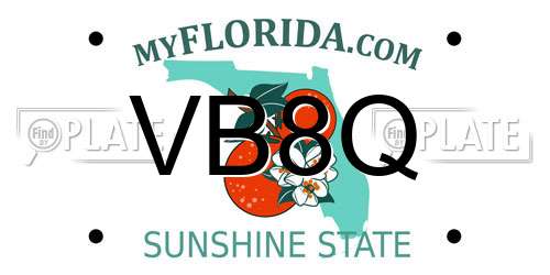 VB8Q Florida License Plate