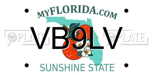VB9LV Florida License Plate
