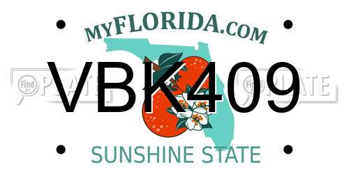 VBK409 Florida License Plate