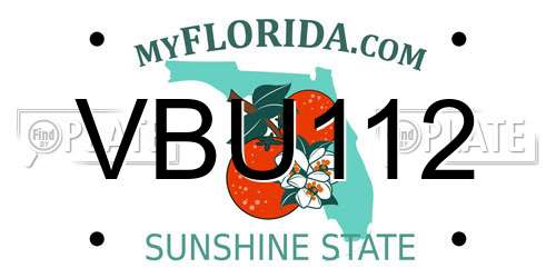 VBU112 Florida License Plate