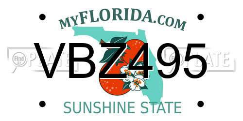 VBZ495 Florida License Plate