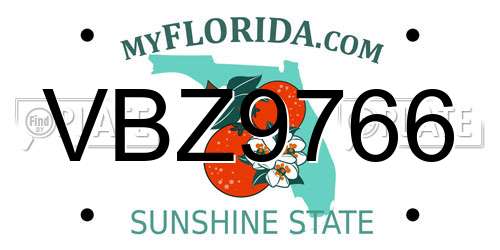 VBZ9766 Florida License Plate