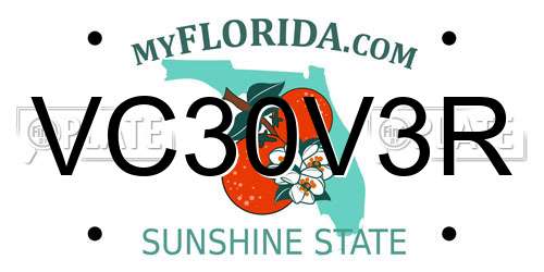 VC30V3R Florida License Plate