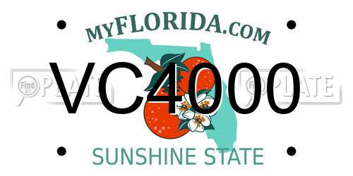 VC4000 Florida License Plate