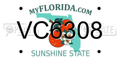 VC6308 Florida License Plate