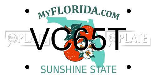 VC65T Florida License Plate