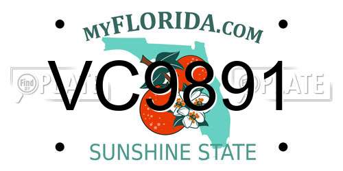 VC9891 Florida License Plate