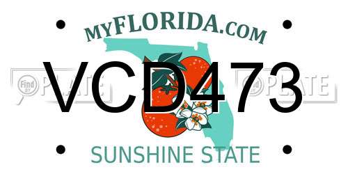 VCD473 Florida License Plate