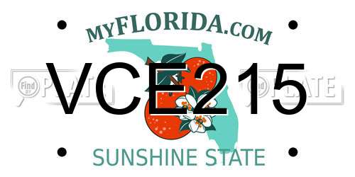 VCE215 Florida License Plate