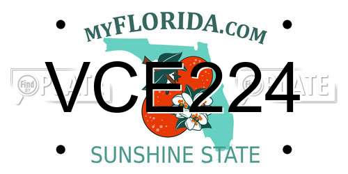 VCE224 Florida License Plate