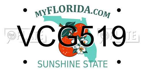 VCG519 Florida License Plate