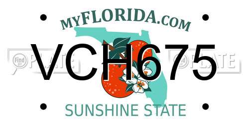 VCH675 Florida License Plate