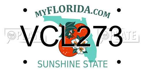 VCL273 Florida License Plate