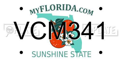 VCM341 Florida License Plate