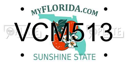 VCM513 Florida License Plate
