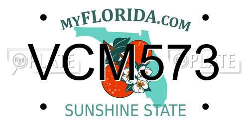 VCM573 Florida License Plate