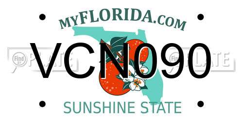 VCN090 Florida License Plate