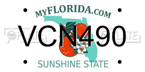 VCN490 Florida License Plate