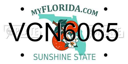 VCN6065 Florida License Plate