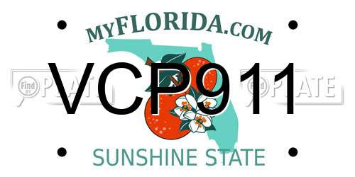 VCP911 Florida License Plate