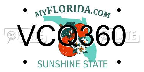 VCQ360 Florida License Plate