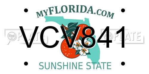 VCV841 Florida License Plate