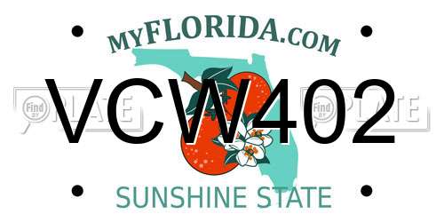 VCW402 Florida License Plate