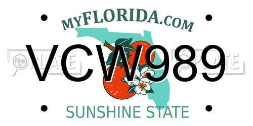 VCW989 Florida License Plate