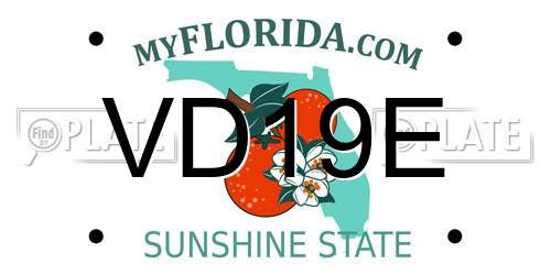 VD19E Florida License Plate