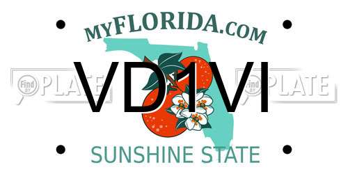 VD1VI Florida License Plate