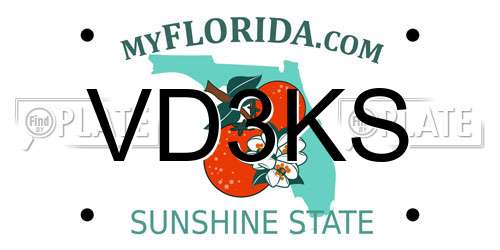 VD3KS Florida License Plate