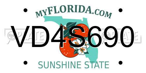 VD4S690 Florida License Plate