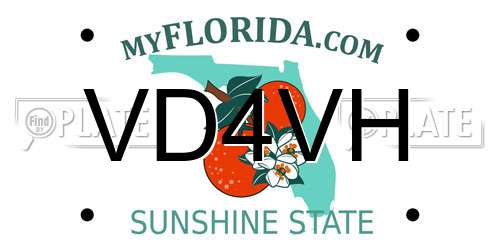 VD4VH Florida License Plate