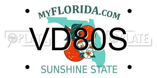 VD80S Florida License Plate
